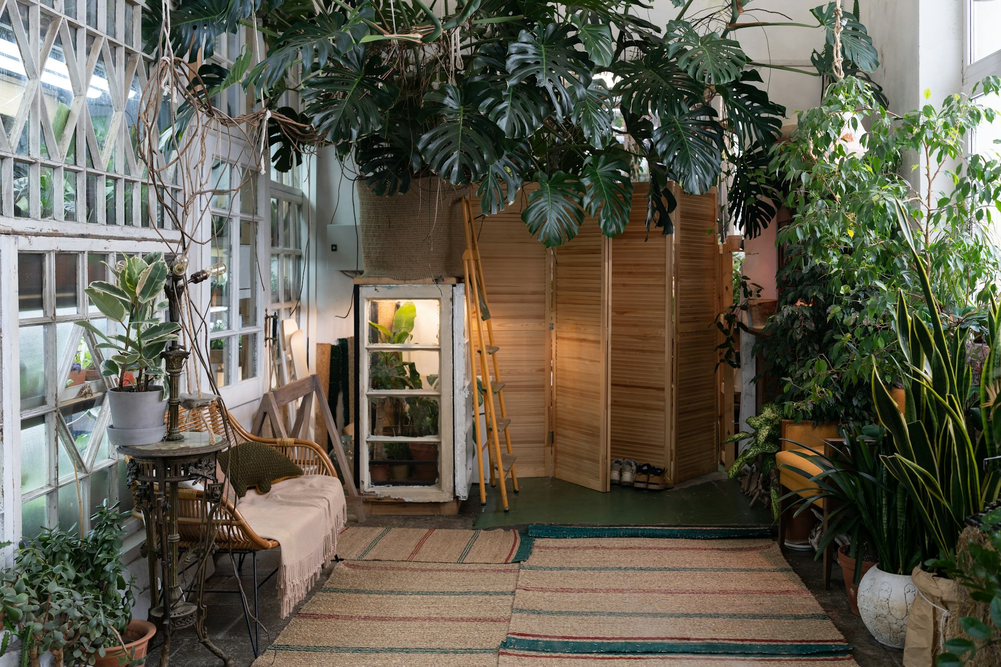 Cozy eco-home with indoor greenhouse, eco-friendly interior design, stunning urban jungle room